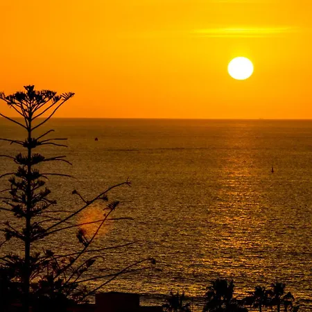 Lejlighed Ponderosa 619, Americas, 2 Bedroom With Large Terrace And Ocean View, Next To Siam Park